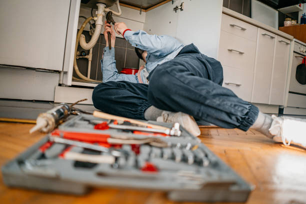 Best Plumbing Inspection Services  in Centerville, TN