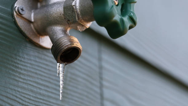 Best Sprinkler Systems  in Centerville, TN